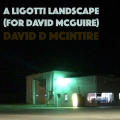 A Ligotti Landscape (for David McGuire)