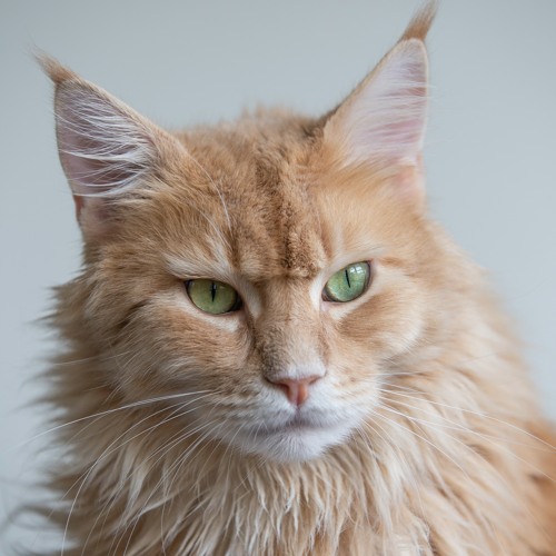 🔥❤️🔥Selections Playlists > link in description