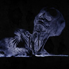 Dreams are Imperfections