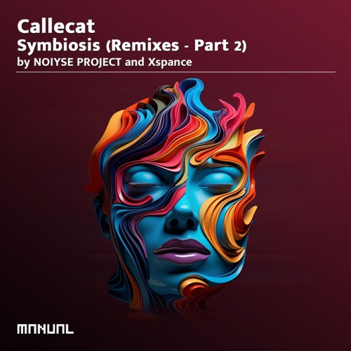 PREMIERE: Callecat & Paul Hazendonk - State Of Mind (Noiyse Project Remix) [Manual Music]