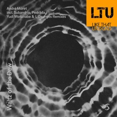 Premiere: André Moret - You With Wing (Pedräda Remix) | Transensations Records