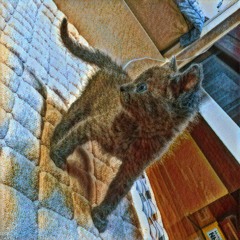 여길 계속 보새오 demo