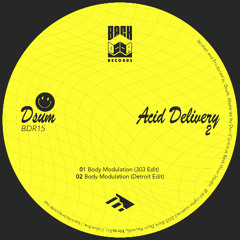 BDR15 / Dsum - Acid Delivery 2 / Snippets