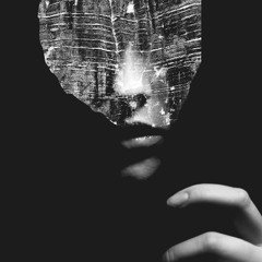 Fixation