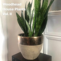 Woodhead - House Plants Vol. II