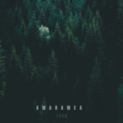 Tosh - Amara mea (CiB Remix)