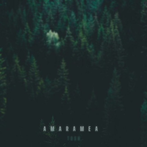 Tosh - Amara mea (CiB Remix)