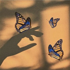 butterfly prologue mix