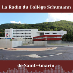 RCS : La Radio Collège Schumann - #3 C'est la rentrée !