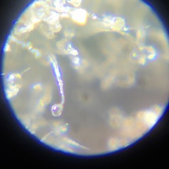 FGPD x Frank Murph colab