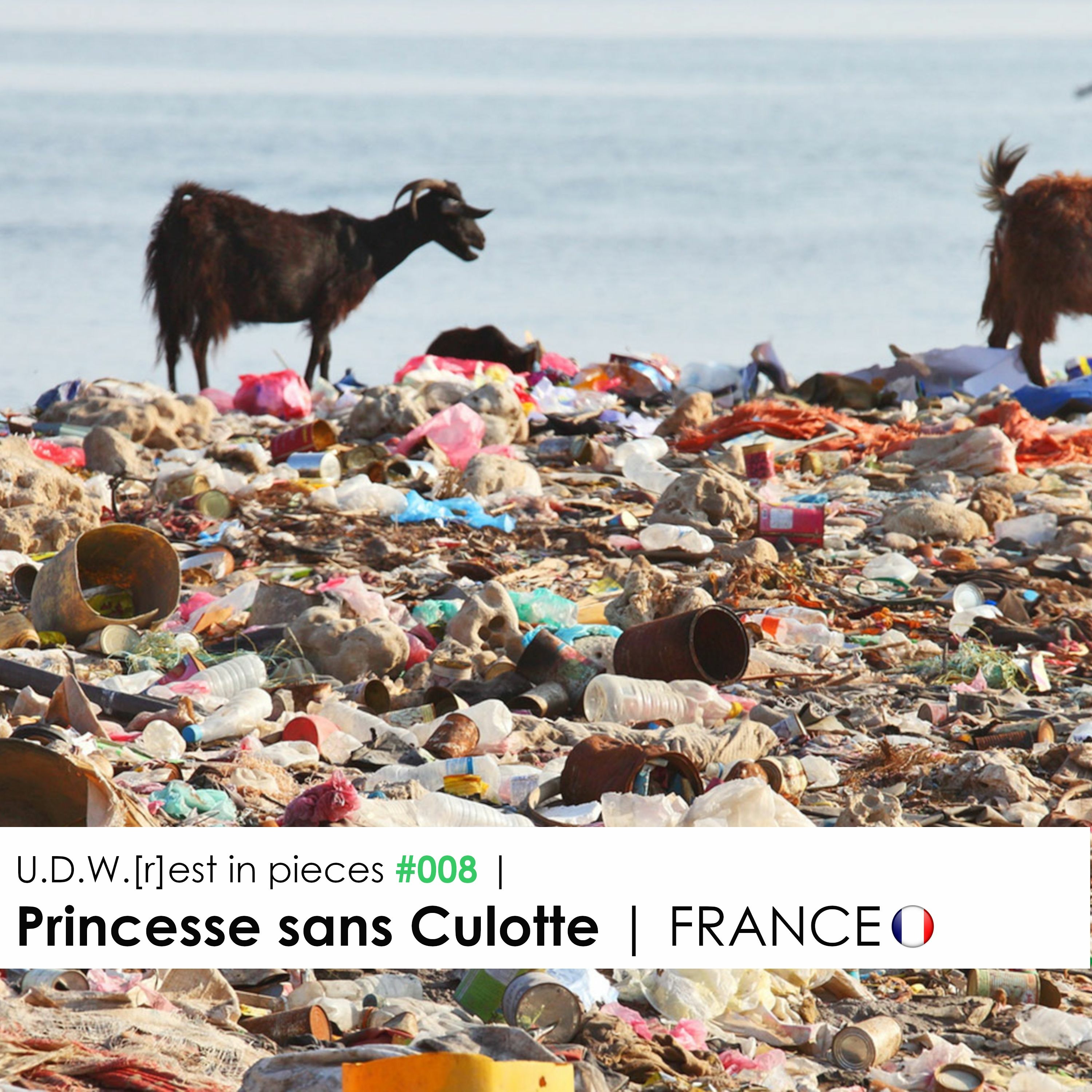 U.D.W.[r]est in pieces #008 | Princesse sans Culotte | FRANCE