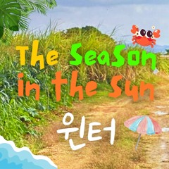 윈터 - The season in the sun (TUBE/チュ-ブ) AI COVER