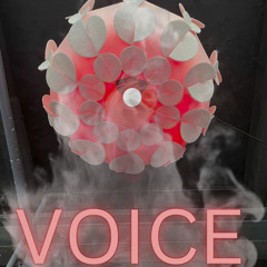 Voice