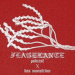 CHAPTER X: DAS MONSTRVM