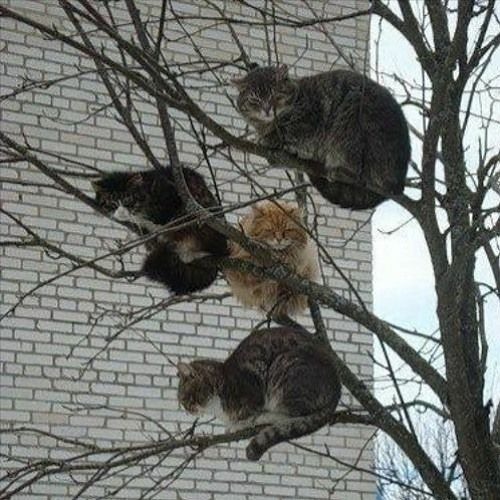 (っ◔◡◔)っ ♥ bouncin off wiT ur HEAD ♥ ★★★