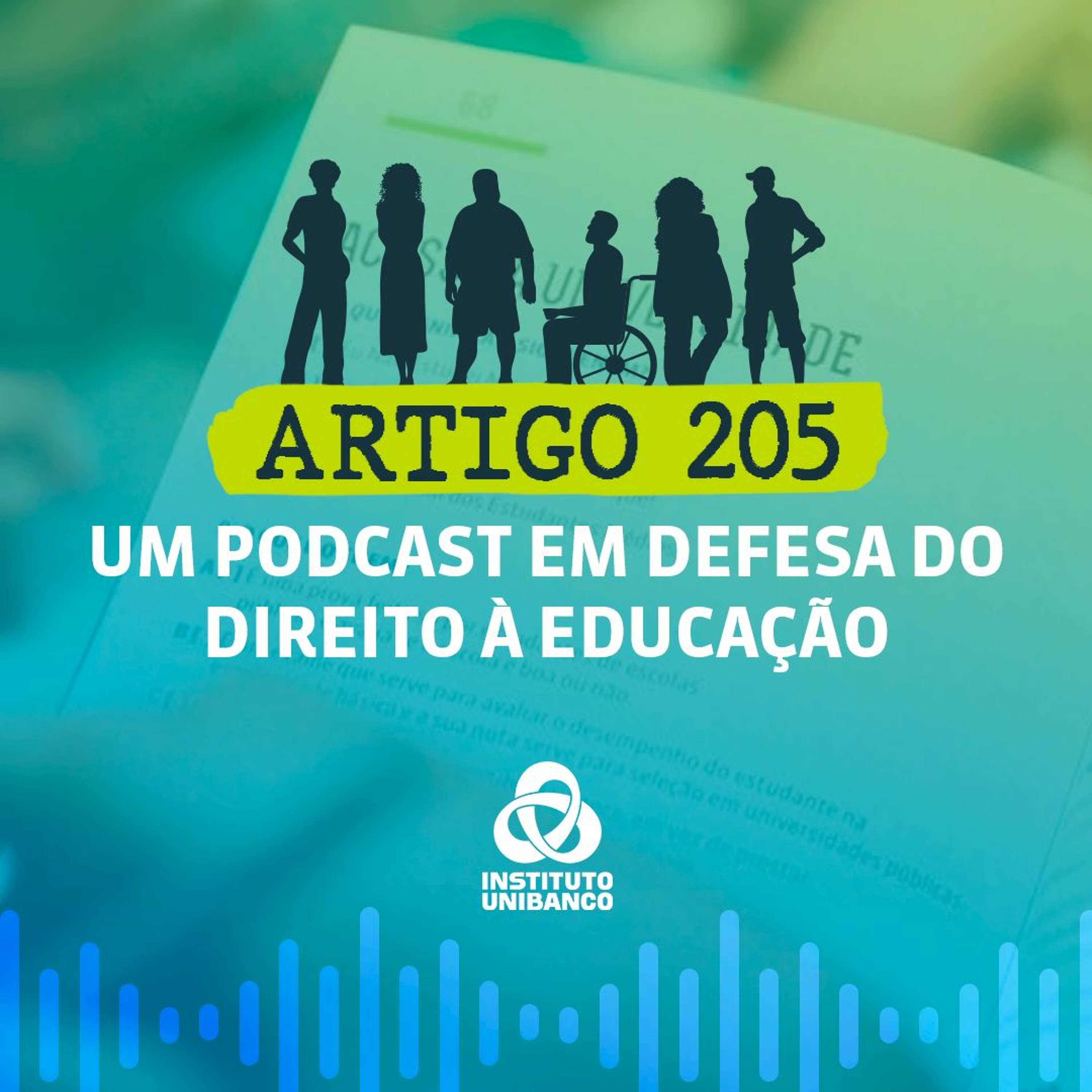 Artigo 205