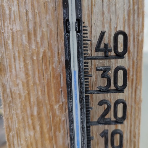 The Summer Selection