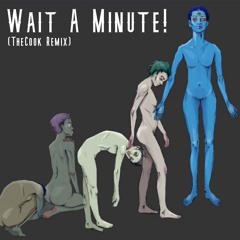 Wait A Minute! (TheCook Remix)