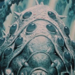 Echo bravo - duster cover