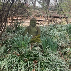 galore prod perfectlyclear