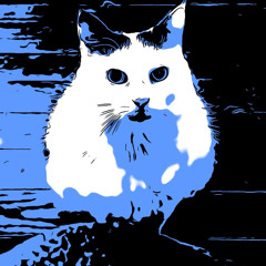 Cat in a Shark Suit on a Roomba