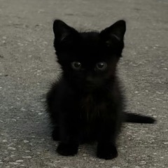 #VP - Kayos x YF x Kenji - Back 2 Back.mp3