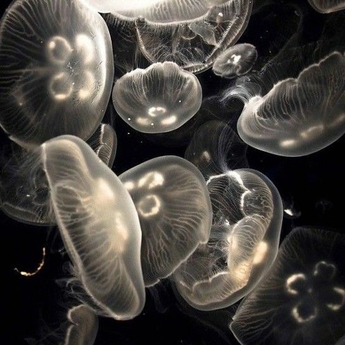 DOORS – Here I come but it's sped up