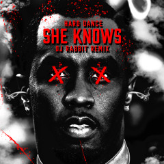 Dj Rabbit - She Knows Remix