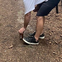 это хип-хоп