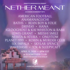 NETHER MEANT 2020: OFFICIAL RECAP