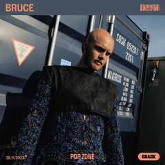 Pop Zone: Bruce