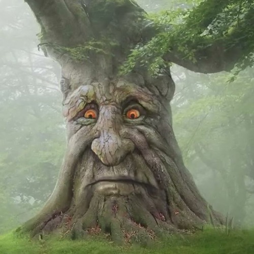 wise mystical tree｜TikTok Search