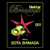 Nektar Broadcast 001 - Sota Shimada DJ mix artwork - Electronic music tracklist cover image