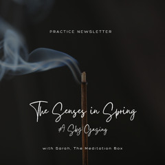 Practice Newsletter #9_Look Up