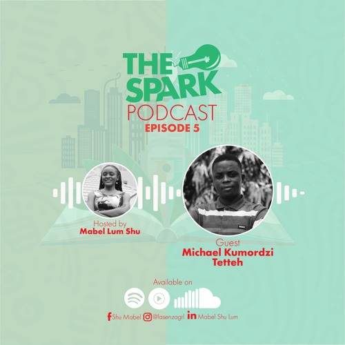 The Spark Episode 5 with Michael Kumordzi Tetteh