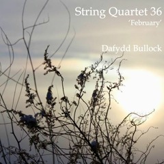 String Quartet 36  'February' 1