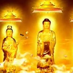 Niệm Phật 4 chữ - A Di Đà Phật - Thầy Thích Trí Thoát