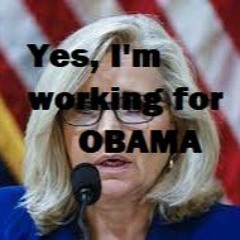 July 15 To Know Liz Is To Hate Liz