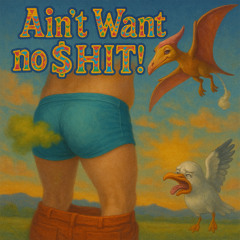 Ain’t Want no $hîT