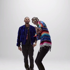 No Limit (Been Had VIP Remix)