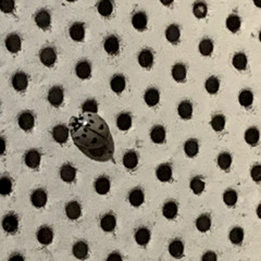 Final Thought...To Be Continued