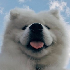 Get Party Started - Vgee Remix ( Xào Chẻ CC )