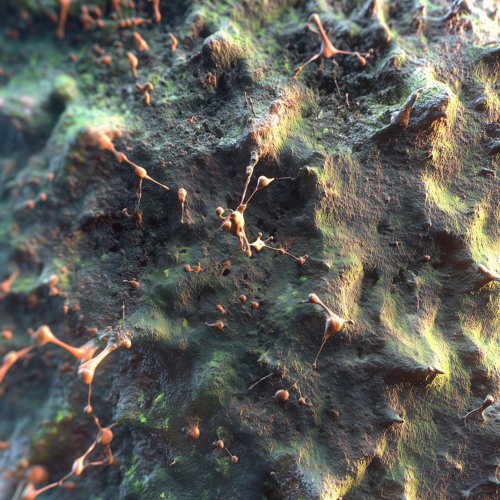 Biocybernetics .:. 23 w/ brad alloc