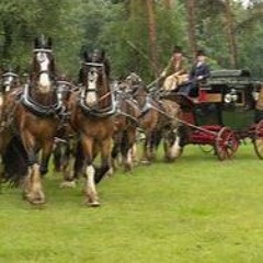 Four Horseman NYE 2024 Warm Up