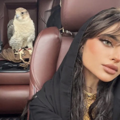 الرقم القياسي 🌷