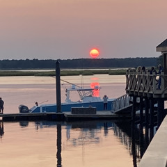 Blue Bayou (Linda Rondstat cover)