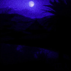 desert sand feels warm at night : 囚人