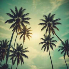 Sunshine in My Pocket