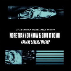 More than you vs Shut it down (AS Mashup) (Filtered)