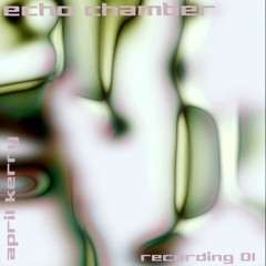 echo chamber - recording 01 - april kerry